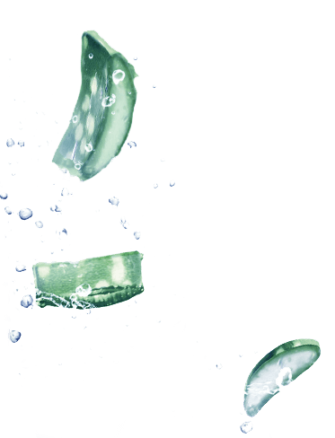 visuel-ingredient-aloe-373x488